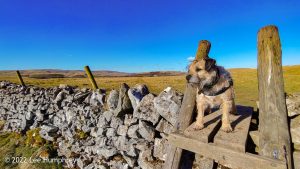 Broad Flats, Malham – Wild Camp #026