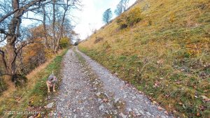 Buckden Pike – Wild Camp #021