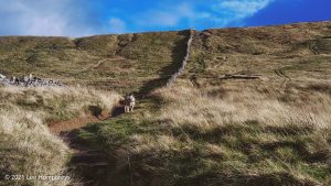 Buckden Pike – Wild Camp #021