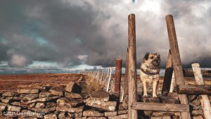 Buckden Pike – Wild Camp #021