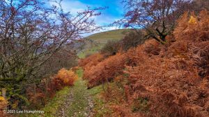 Buckden Pike – Wild Camp #021