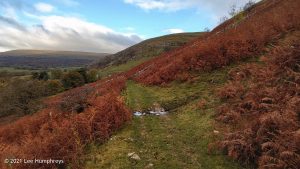 Buckden Pike – Wild Camp #021