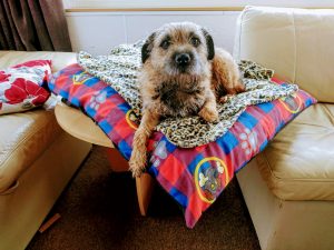 Christmas 2017 at Barmston