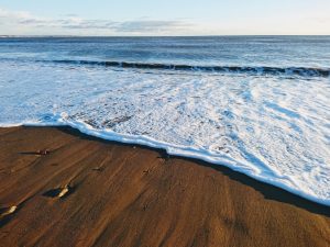 Christmas 2017 at Barmston