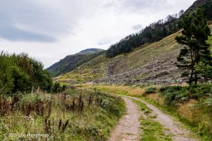 Crag Fell, Ennerdale Water – Wild Camp #017
