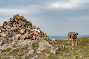 Crag Fell, Ennerdale Water – Wild Camp #017