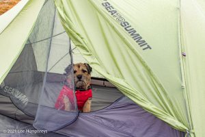 Crag Fell, Ennerdale Water – Wild Camp #017