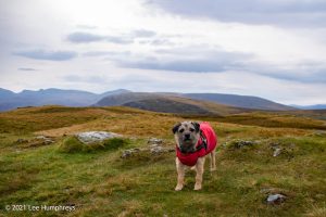 Crag Fell, Ennerdale Water – Wild Camp #017