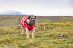Crag Fell, Ennerdale Water – Wild Camp #017