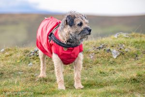 Crag Fell, Ennerdale Water – Wild Camp #017