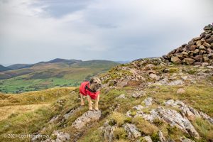 Crag Fell, Ennerdale Water – Wild Camp #017