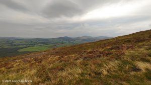 Crag Fell, Ennerdale Water – Wild Camp #017