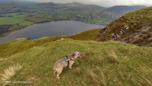 Crag Fell, Ennerdale Water – Wild Camp #017