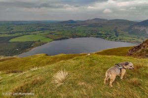 Crag Fell, Ennerdale Water – Wild Camp #017