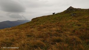Crag Fell, Ennerdale Water – Wild Camp #017