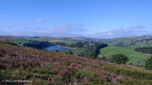 Crow Hill Hike