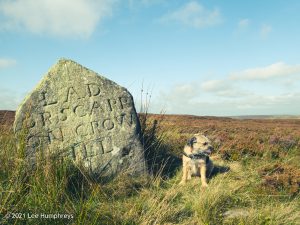 Crow Hill Hike