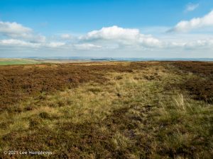 Crow Hill Hike