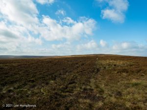 Crow Hill Hike
