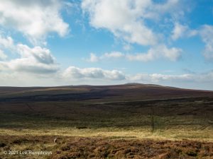Crow Hill Hike
