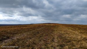 Crow Hill Hike