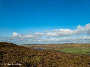 Crow Hill Hike
