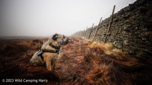 Darnbrook Fell, Yorkshire Dales – Wild Camp #041