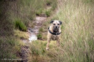 Dog Hill Trig Point