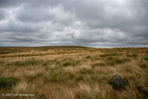 Dog Hill Trig Point
