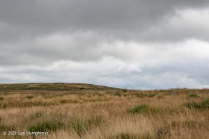 Dog Hill Trig Point