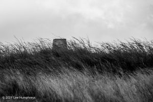 Dog Hill Trig Point
