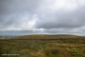 Dog Hill Trig Point