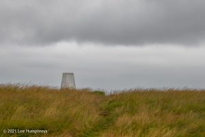 Dog Hill Trig Point