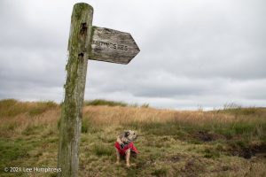 Dog Hill Trig Point