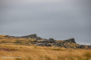 Dog Hill Trig Point