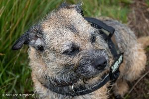 Dog Hill Trig Point