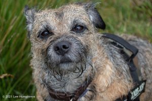Dog Hill Trig Point