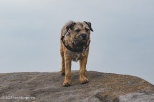 Embsay Moor – Wild Camp #016