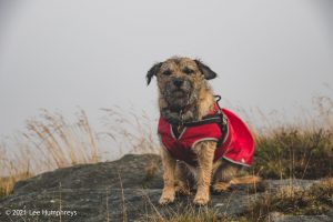 Embsay Moor – Wild Camp #016