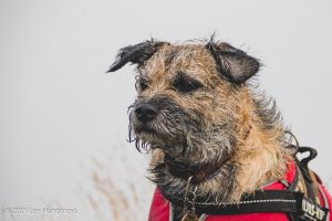 Embsay Moor – Wild Camp #016