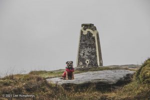 Embsay Moor – Wild Camp #016