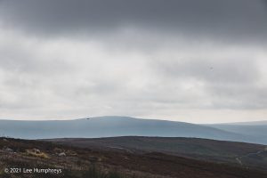 Embsay Moor – Wild Camp #016