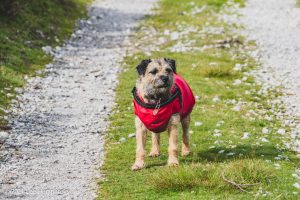 Embsay Moor – Wild Camp #016