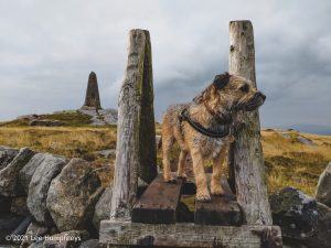 Embsay Moor – Wild Camp #016
