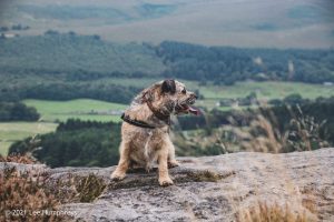 Embsay Moor – Wild Camp #016