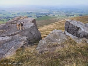 Embsay Moor – Wild Camp #016