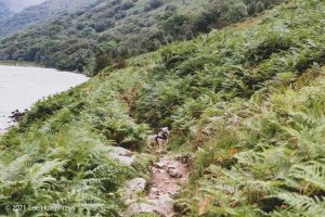 Ennerdale Water Circular, Lake District