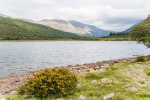 Ennerdale Water Circular, Lake District