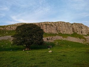 Fountains Fell 01