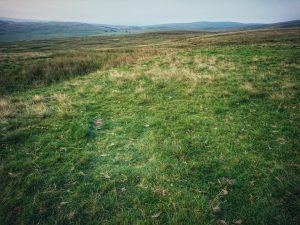 Fountains Fell 01